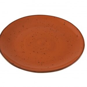 Orion Elements Dinner Plate Sunburst